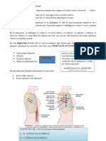 CAP 38 Fisiologia de Guyton 13 Edición