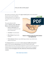 What Is The Position of The Arm With An Erb's Palsy?: Hide Related Topic Details