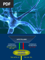 Hormonas Inhibidoras y Liberadoras