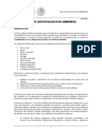 Guia de Autoevaluacion Ambiental