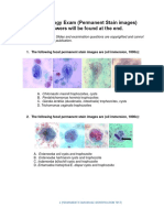 Review Parasitology Exam (Permanent Stain Images)