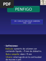 Penfigo Unp