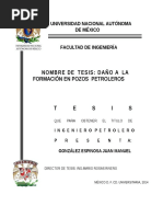 Daño A La Formacion en Pozos Petroleros - Tesis