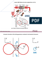 (A) Illustration of The Splenic RBC Filtration Function (Adapted From Ref. 18)