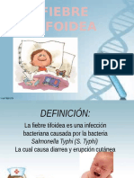 Diapositivas Fiebre Tifoidea