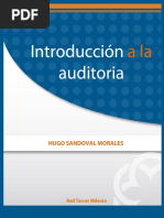 Introduccion A La Auditoria