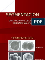 Disco Germinativo Bilaminar y Trilaminar