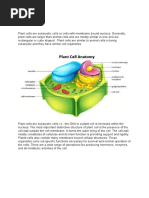 Bio 1