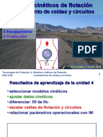 WSFT-04-Modelos Cinéticos de Flotación y Escalamiento de Celdas y Circui...