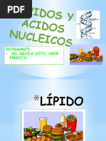 Lipidos y Acidos Nucleicos (Trabajo) - Del Aguila Soto, Oger