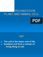 Plant and Animal Cell