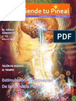 009enciendetupineal PDF