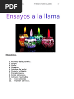 Ensayos A La Llama