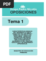 T 1 Primaria GPN2013 PDF