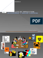 Taller de Inducción Seguridad y Salud Laboral - PPT VERSION 2