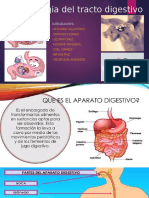 Farmacologia Del Tracto Digestivo