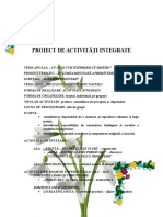 Proiect de Activităţi Integrate