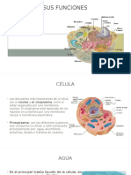 La Célula - Fisiologia - Guyton