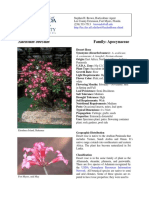 Dessert Rose Adenium Obesum PDF