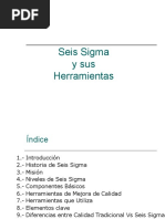 Seis Sigma Niveles y Herramientas