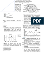 Banco Sistema Sensorial y Endocrino