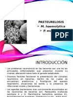 Pasteurelosis