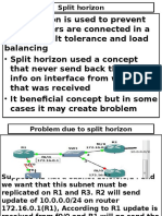 Split Horizon Used A Concept