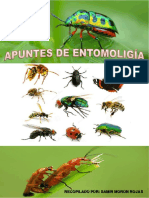 Apuntes de Entomología