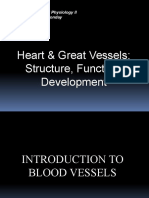 Heart & Great Vessels: Structure, Function, Development