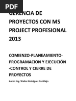 Gerencia de Proyectos Con Ms Project Profesional 2013