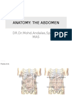 Abdomen Dan Pelvis