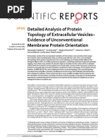 Detailed Analysis of Protein Topology of Extracellular Vesicles - Evidence of Unconventional Membrane Protein Orientation