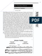 In-Depth With The Tannhauser Excerpt For Viola