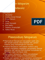 Plasmodium Falciparum