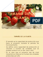 2.-Tamaño de La Planta Mermelada Dietetica de Frutilla