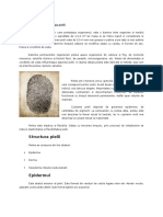 Anatomia Si Fiziologia Pielii - Referat