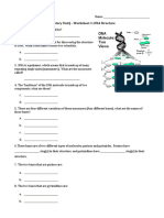 Worksheet 1 - Dna Structure