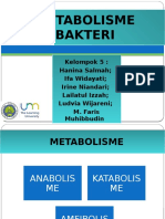 Metabolisme Bakteri