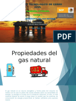 Exposicion de Gas Natural