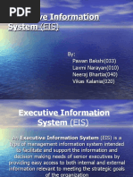 Executive Information System (EIS)