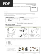 Diagnóstico Ciencias 2° Básico