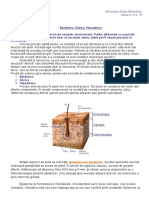 Derma, Epiderma, Hipoderma