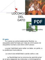 Locomocion Del Gato