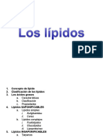 Lipidos Mia