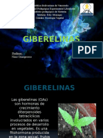  Giberelinas 