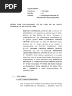 Demanda de Anulabilidad de Acto Jurídico