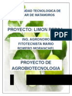 Proyecto Terminado Limon Persa