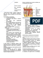 Resumo de Histologia PDF