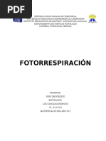 Fotorrespiración