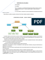 Estructura de La Palabra